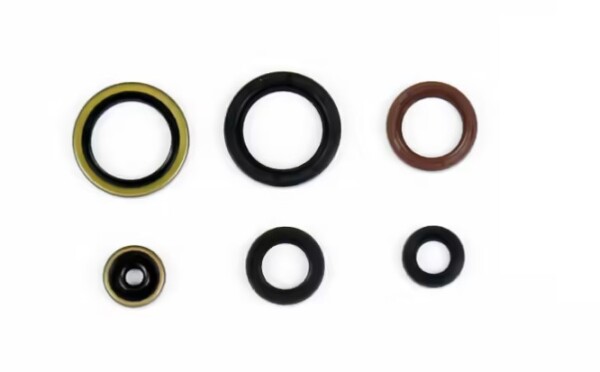 Motor-Dichtring-Kit - P400270400077