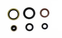 Motor-Dichtring-Kit - P400270400077