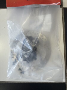 Sedna Bremsscheibe+Zange SX16-20 Hinten