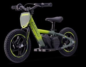 Elektrisches Laufrad Sedna MX 12" Grün