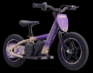 Elektrisches Laufrad Sedna MX 12" Lila