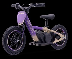 Elektrisches Laufrad Sedna MX 12" Lila