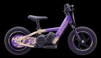 Elektrisches Laufrad Sedna MX 12" Lila