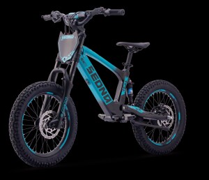 Elektrisches Laufrad Sedna SX 18" Blau