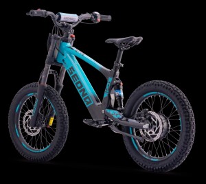 Elektrisches Laufrad Sedna SX 18" Blau