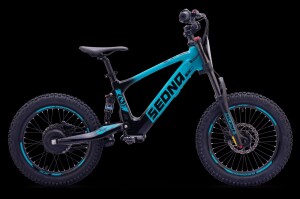 Elektrisches Laufrad Sedna SX 18" Blau