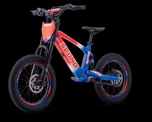 Elektrisches Laufrad Sedna SX 18" Blau/Weiß/Rot