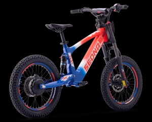 Elektrisches Laufrad Sedna SX 18" Blau/Weiß/Rot