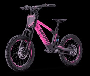 Elektrisches Laufrad Sedna SX 18" Pink