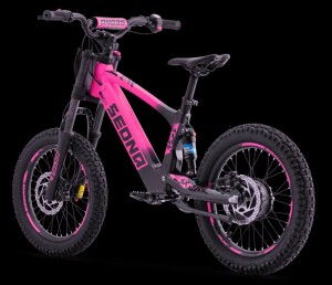 Elektrisches Laufrad Sedna SX 18" Pink