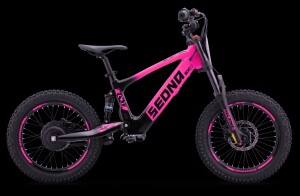 Elektrisches Laufrad Sedna SX 18" Pink