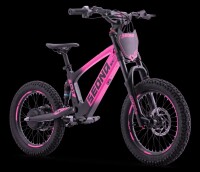 Elektrisches Laufrad Sedna SX 18" Pink