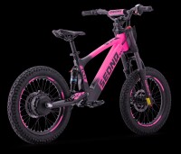 Elektrisches Laufrad Sedna SX 18" Pink