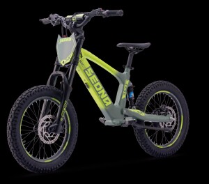 Elektrisches Laufrad Sedna SX 18" Grün