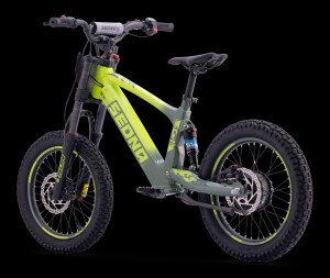 Elektrisches Laufrad Sedna SX 18" Grün
