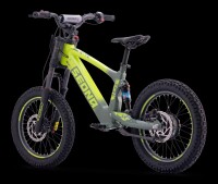 Elektrisches Laufrad Sedna SX 18" Grün