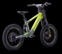 Elektrisches Laufrad Sedna SX 18" Grün