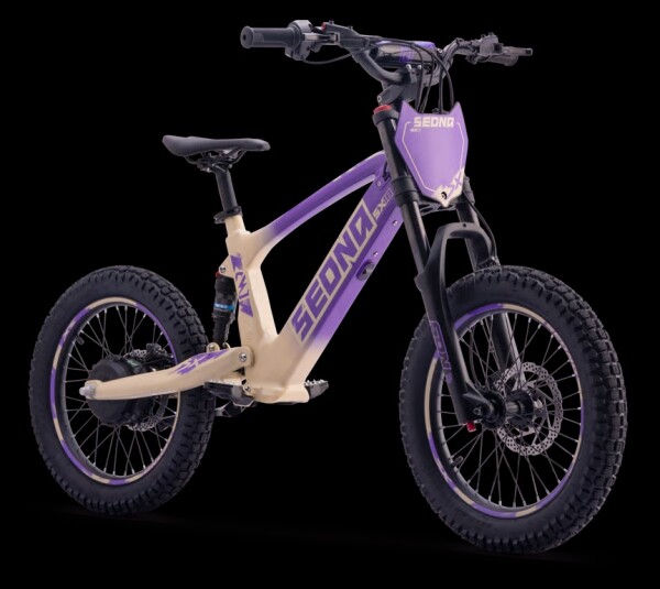 Elektrisches Laufrad Sedna SX 18" Lila