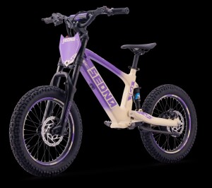 Elektrisches Laufrad Sedna SX 18" Lila