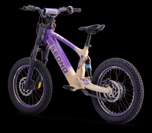 Elektrisches Laufrad Sedna SX 18" Lila