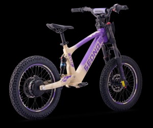 Elektrisches Laufrad Sedna SX 18" Lila