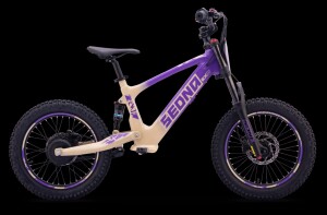 Elektrisches Laufrad Sedna SX 18" Lila