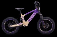 Elektrisches Laufrad Sedna SX 18" Lila