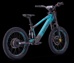 Elektrisches Laufrad Sedna SX 20" Blau