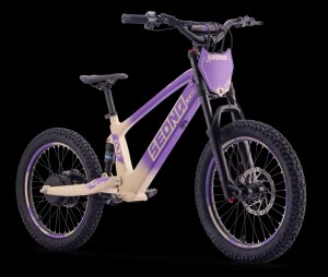 Elektrisches Laufrad Sedna SX 20" Lila