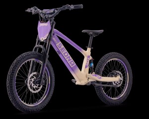 Elektrisches Laufrad Sedna SX 20" Lila