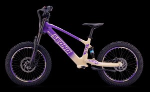 Elektrisches Laufrad Sedna SX 20" Lila