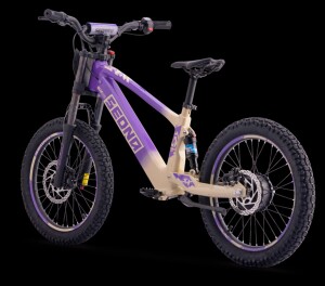 Elektrisches Laufrad Sedna SX 20" Lila