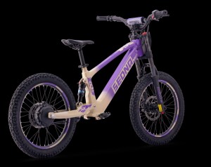 Elektrisches Laufrad Sedna SX 20" Lila