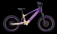 Elektrisches Laufrad Sedna SX 20" Lila