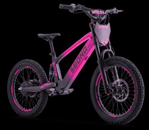 Elektrisches Laufrad Sedna SX 20" Pink