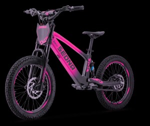 Elektrisches Laufrad Sedna SX 20" Pink