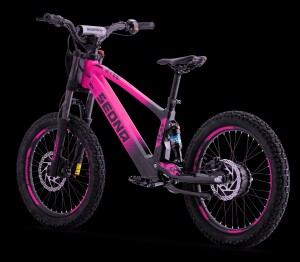 Elektrisches Laufrad Sedna SX 20" Pink