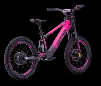 Elektrisches Laufrad Sedna SX 20" Pink