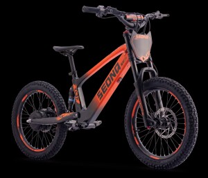 Elektrisches Laufrad Sedna SX 20" Orange