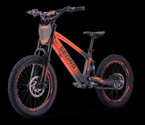 Elektrisches Laufrad Sedna SX 20" Orange