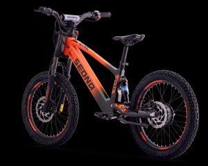Elektrisches Laufrad Sedna SX 20" Orange