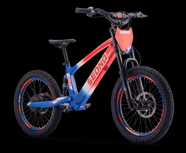 Elektrisches Laufrad Sedna SX 20" Blau/Weiß/Rot