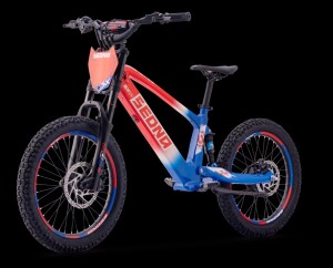 Elektrisches Laufrad Sedna SX 20" Blau/Weiß/Rot