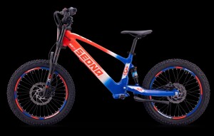 Elektrisches Laufrad Sedna SX 20" Blau/Weiß/Rot