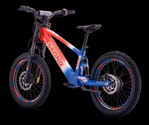 Elektrisches Laufrad Sedna SX 20" Blau/Weiß/Rot
