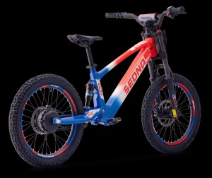 Elektrisches Laufrad Sedna SX 20" Blau/Weiß/Rot