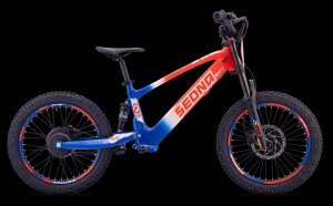 Elektrisches Laufrad Sedna SX 20" Blau/Weiß/Rot