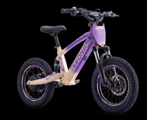 Elektrisches Laufrad Sedna SX 16" Lila