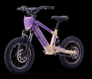 Elektrisches Laufrad Sedna SX 16" Lila