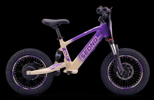 Elektrisches Laufrad Sedna SX 16" Lila
